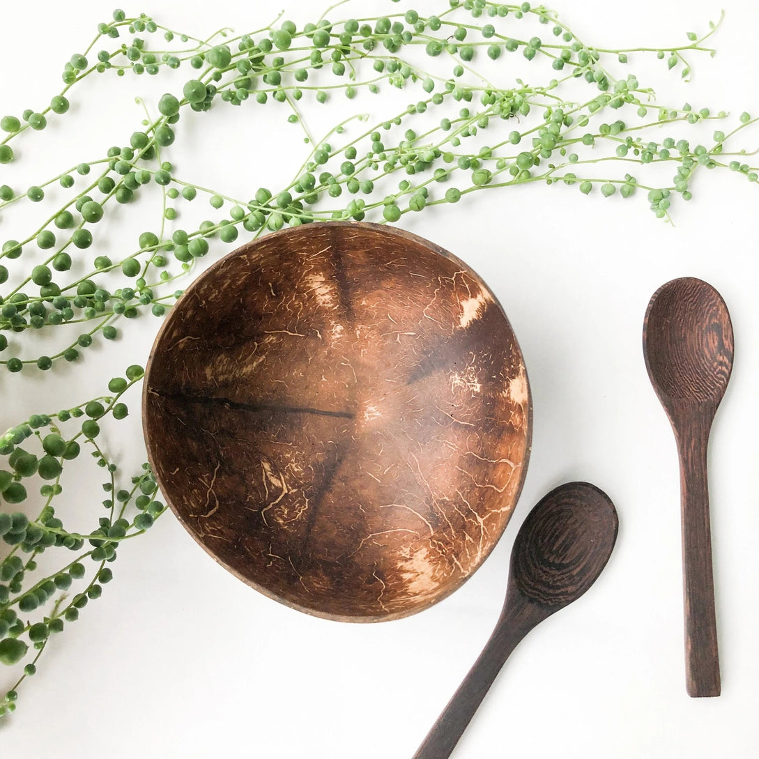 Natural Coconut Bowl & Spoon Coconut Bowl Set Eco Friendly Fruit