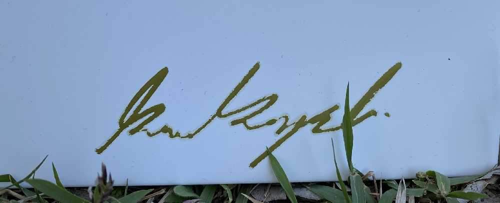 Decorative item with intricate design