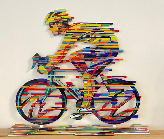 David Gerstein | Champion Bike Racer