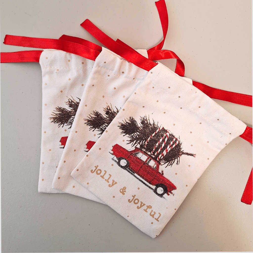 Set of 3 Christmas Gift Bags with Ribbon Closure