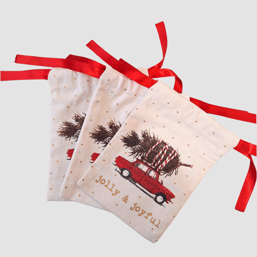 Set of 3 Christmas Gift Bags with Ribbon Closure