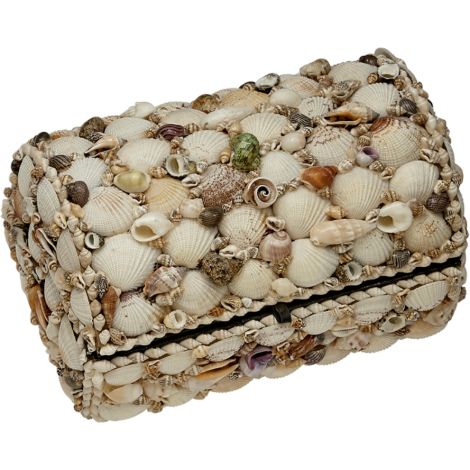 Natural Seashell Treasure Box